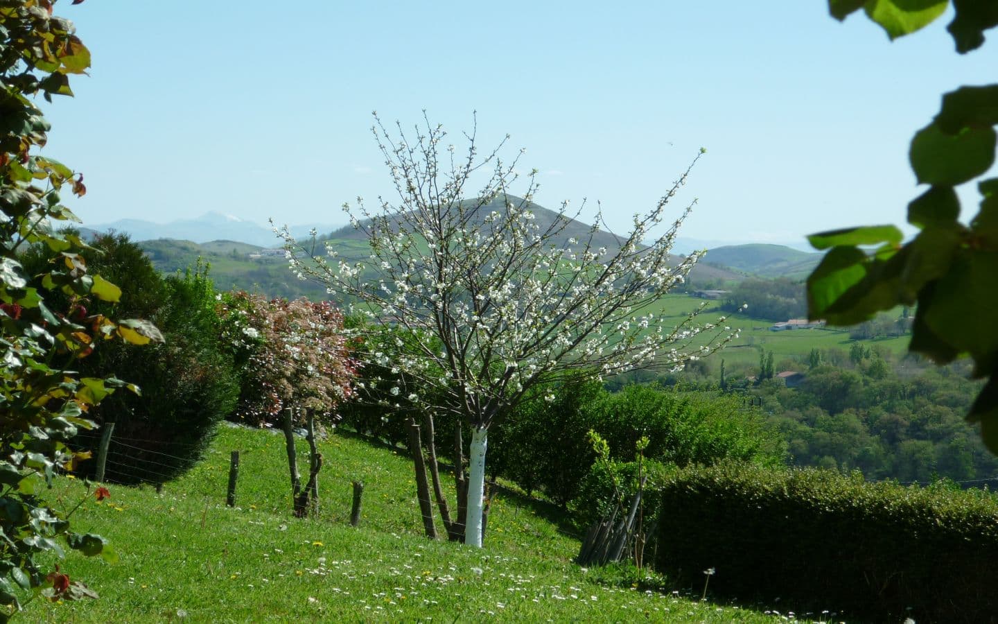 Location Baptiste 3