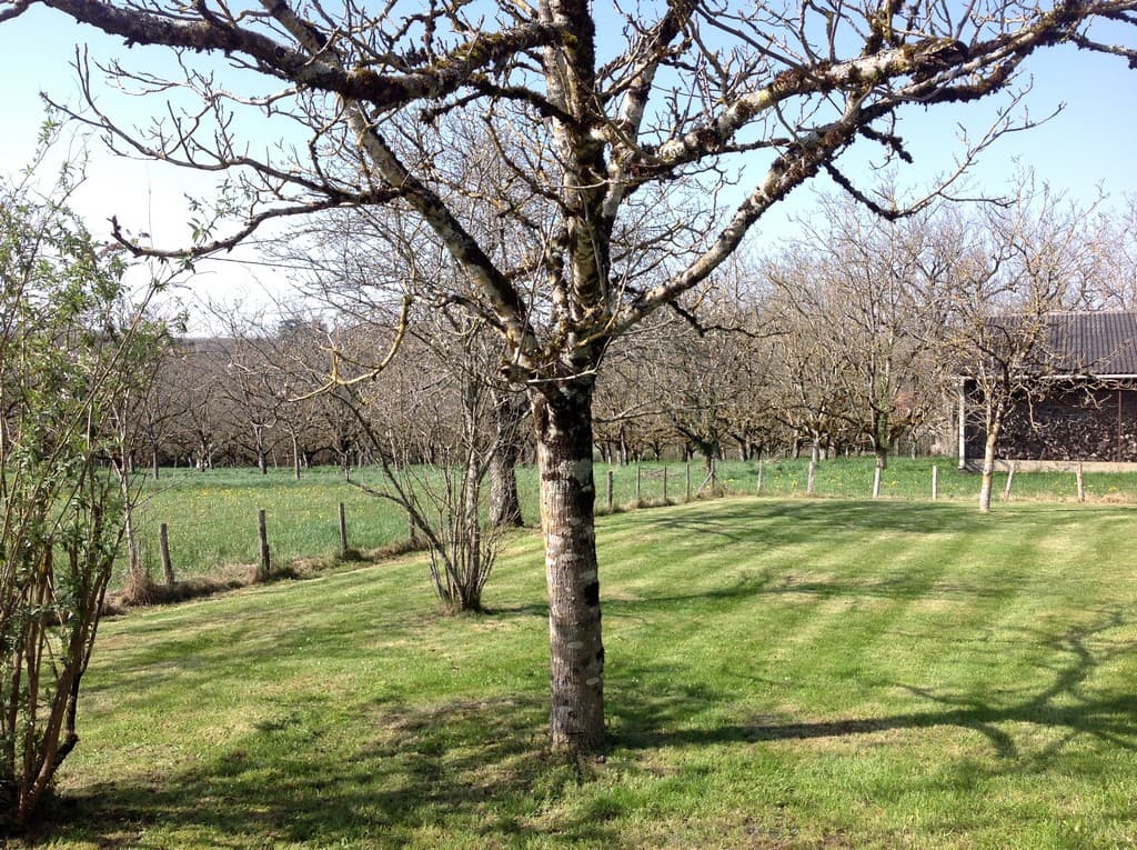 LocationStroink-Liourdres_jardinArriere_16