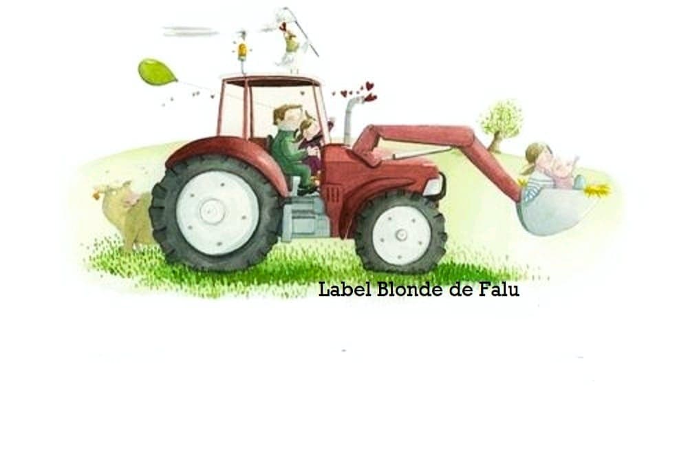 Logo Ferme de Falu