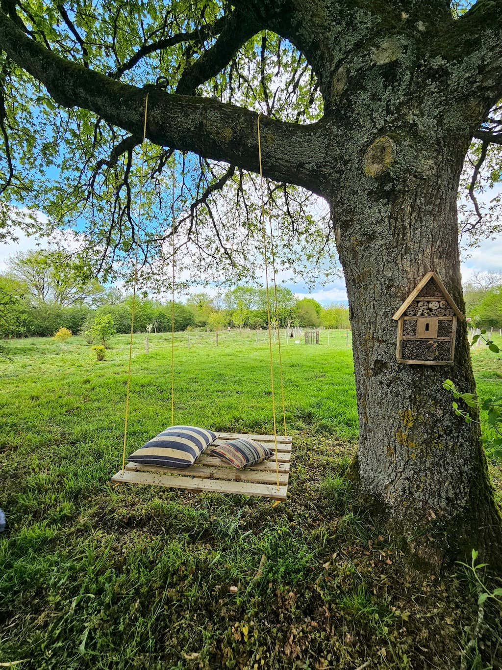Quelque part sur la terre_ - Lourdoueix Saint Pierre - jardin