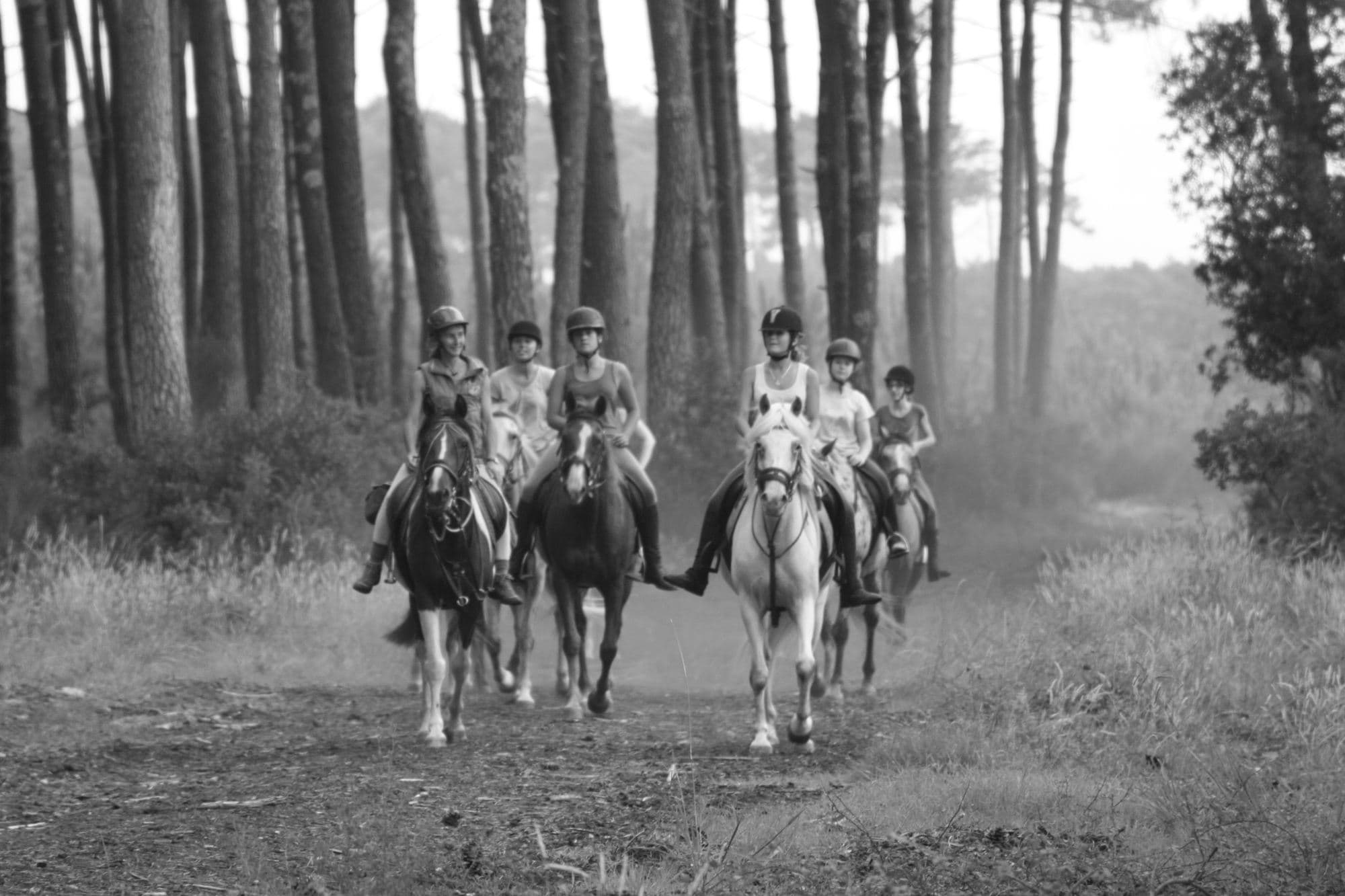 Lous Chivaus foret2