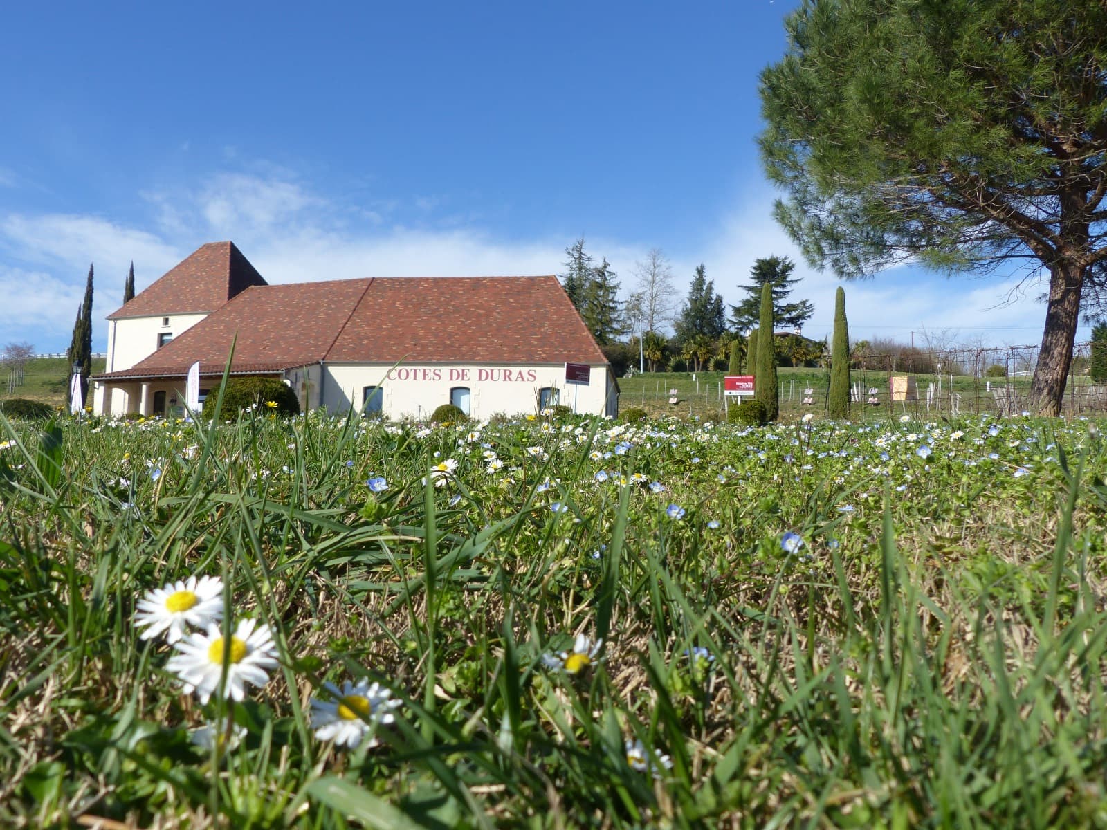 MAISON-DES-VINS-7