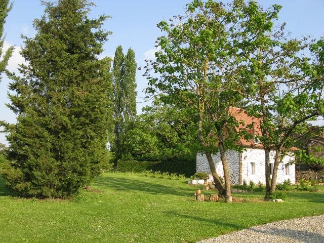 MASERO