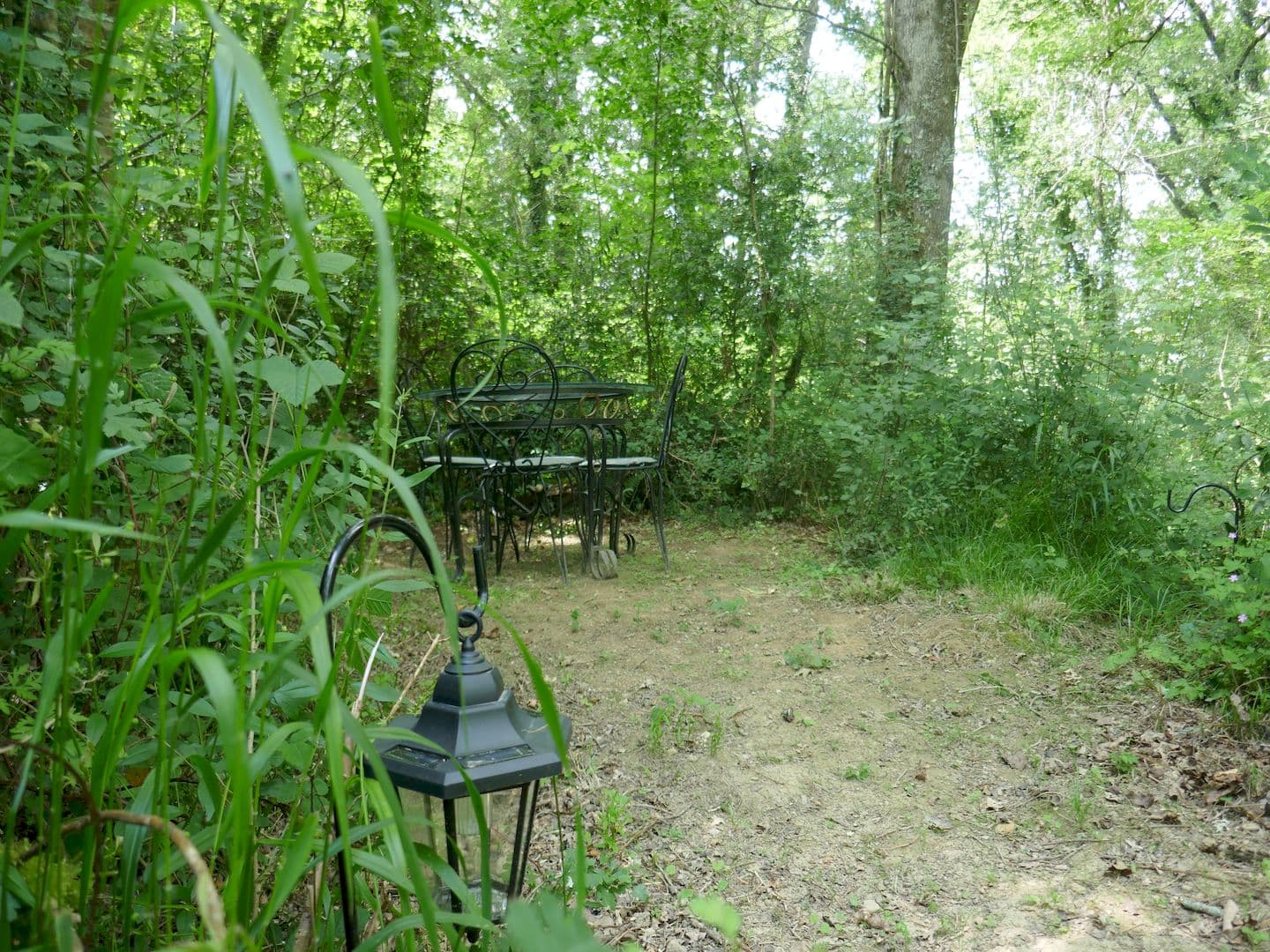 Les Rêves d'Ambre, La Serre