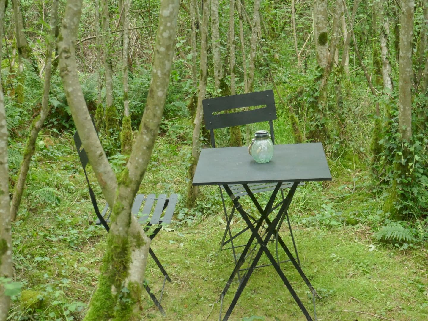 Les Rêves d'Ambre, le pavillon