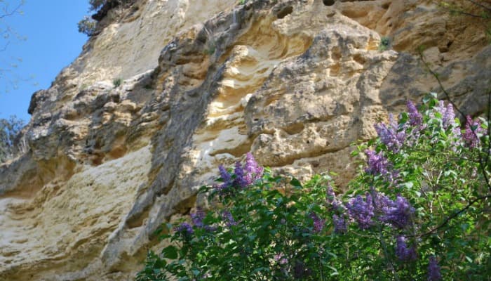 MUGRON Gauriac falaise 800x600