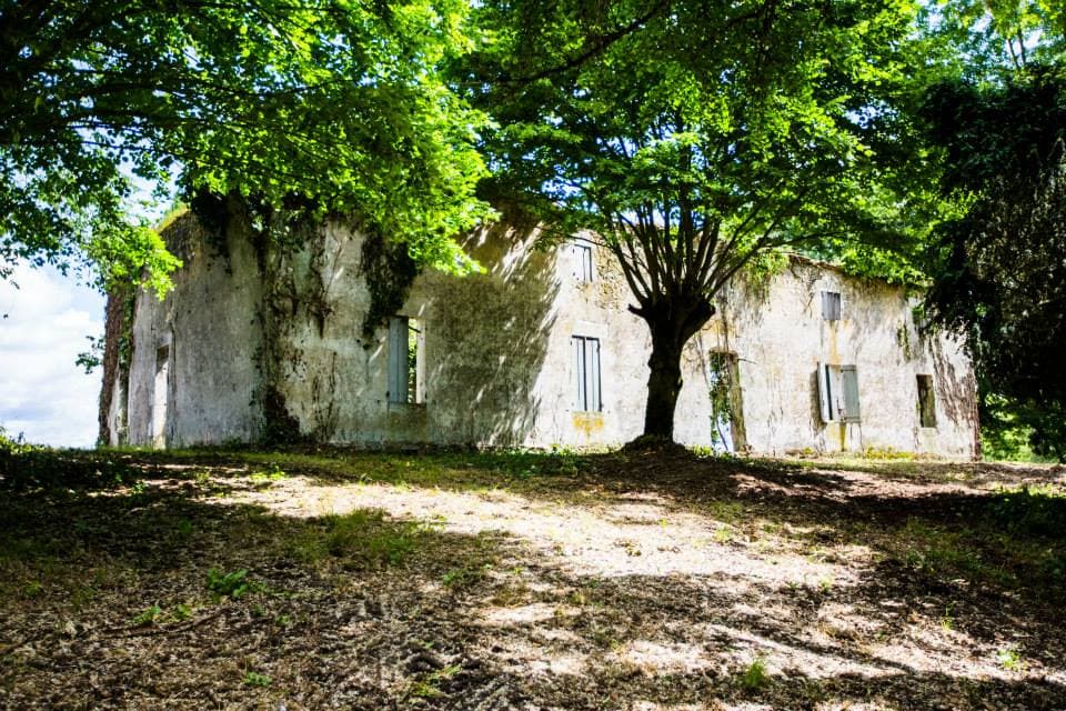 Maison Pardaillan 2014