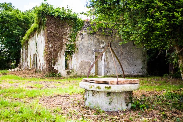 Maison-Pardaillan-2014Jean-Pierre-Fourre-2011