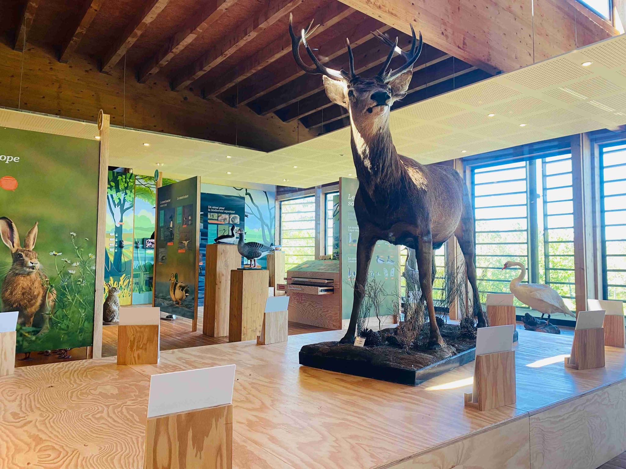 Maison de la Nature2