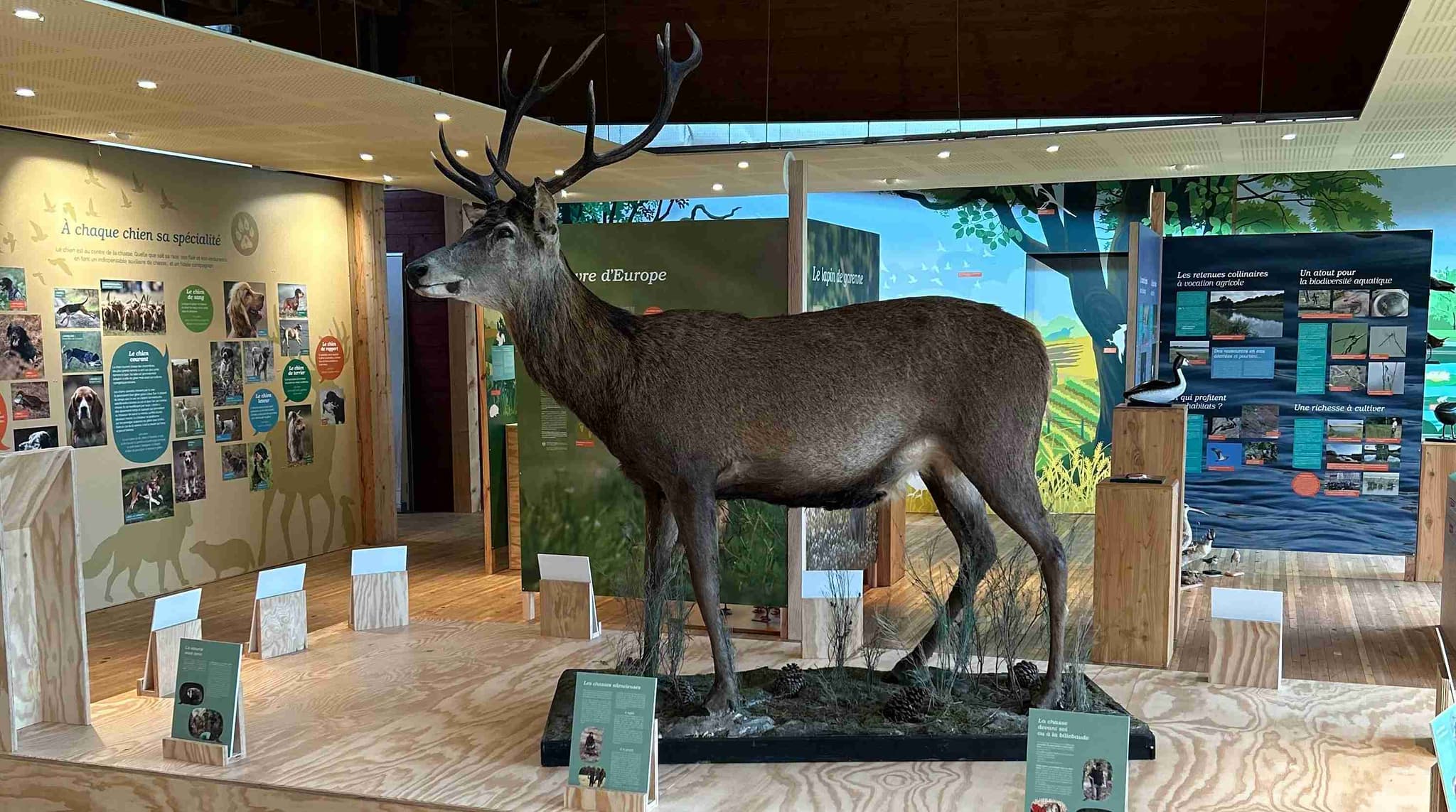 Maison de la Nature3