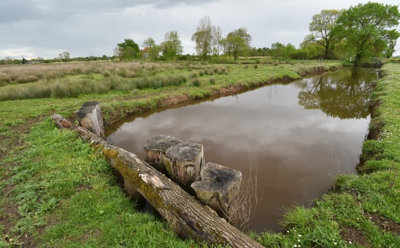 Marais de Montferrand (1)