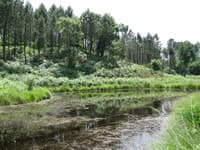 Marais du Plata