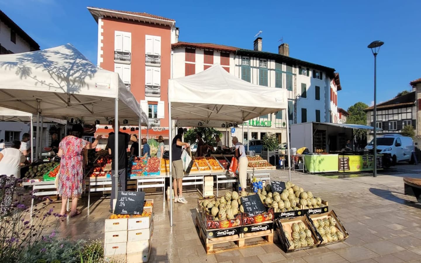 Marche Hasparren (1)