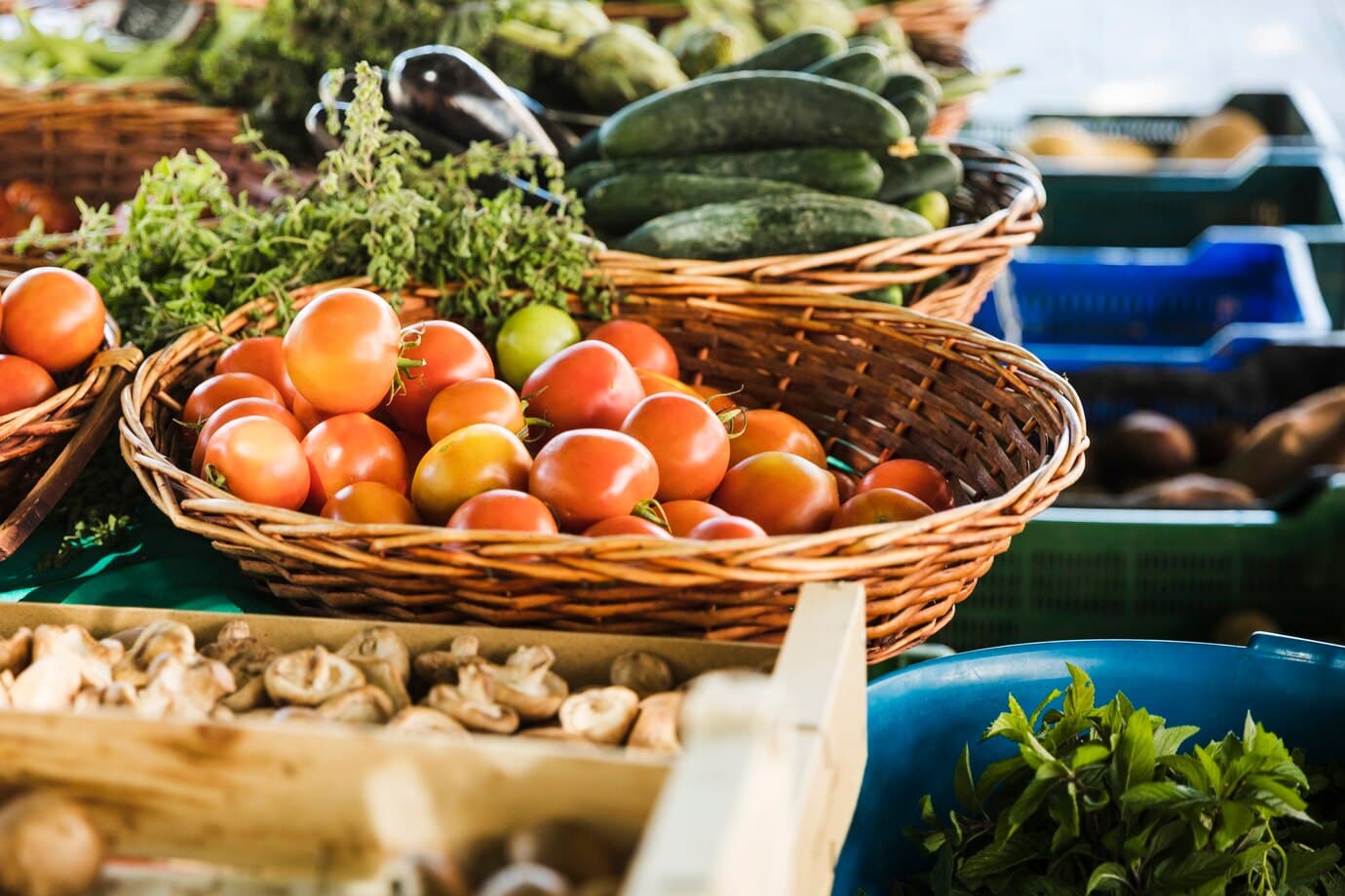 Marché-hebdo-montpon-vallee-isle-perigord