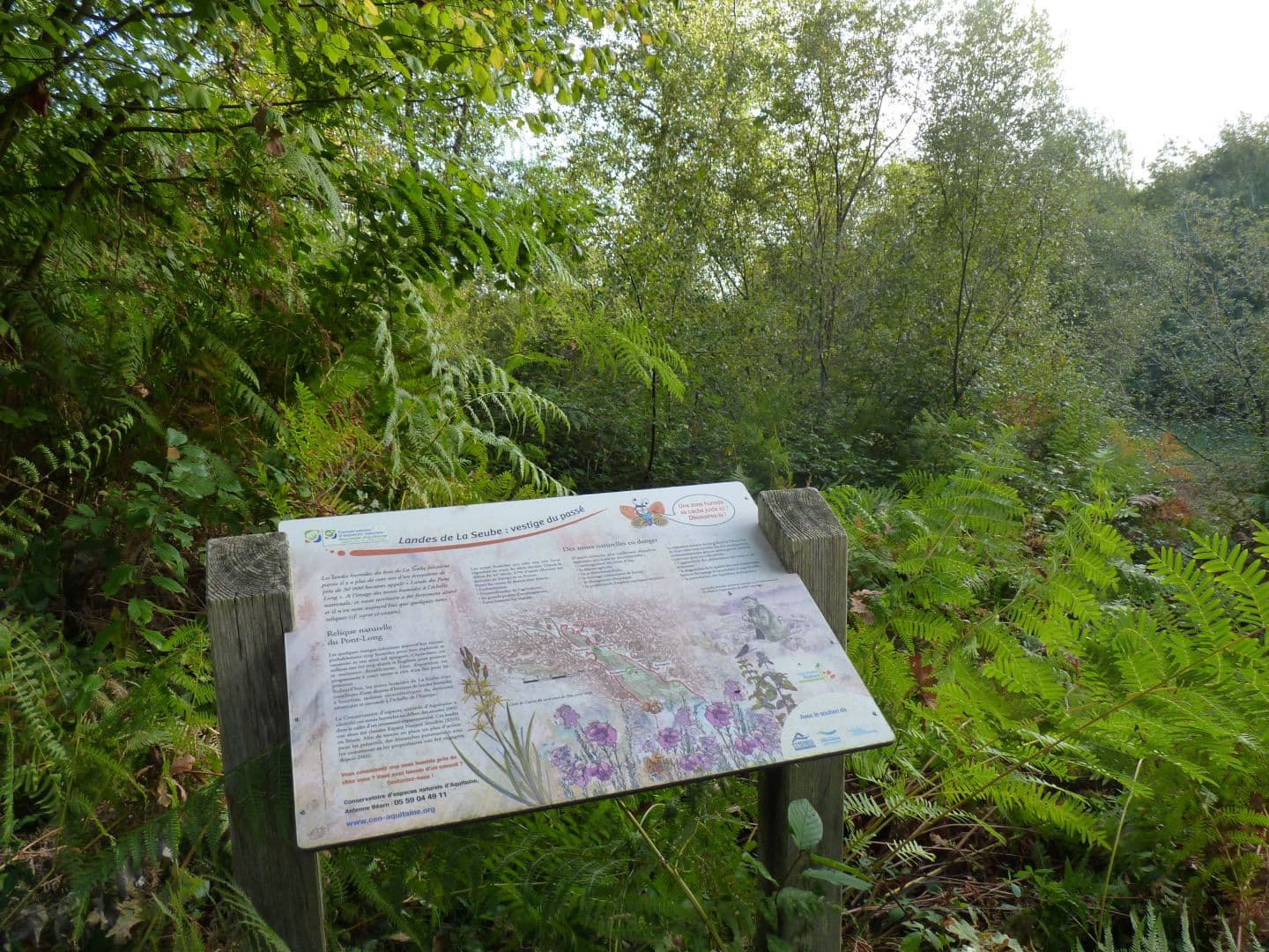Mazerolles landes humides crédit SMT (60)