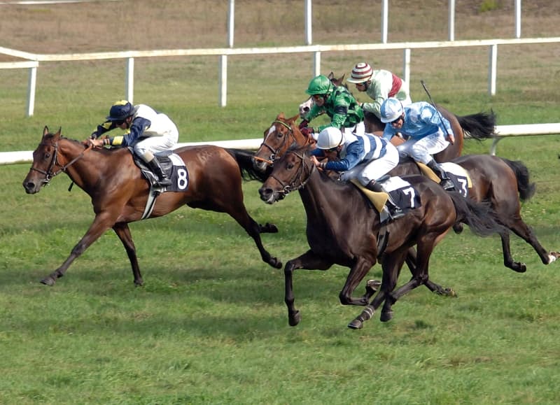 Visuel Meeting hippodrome
