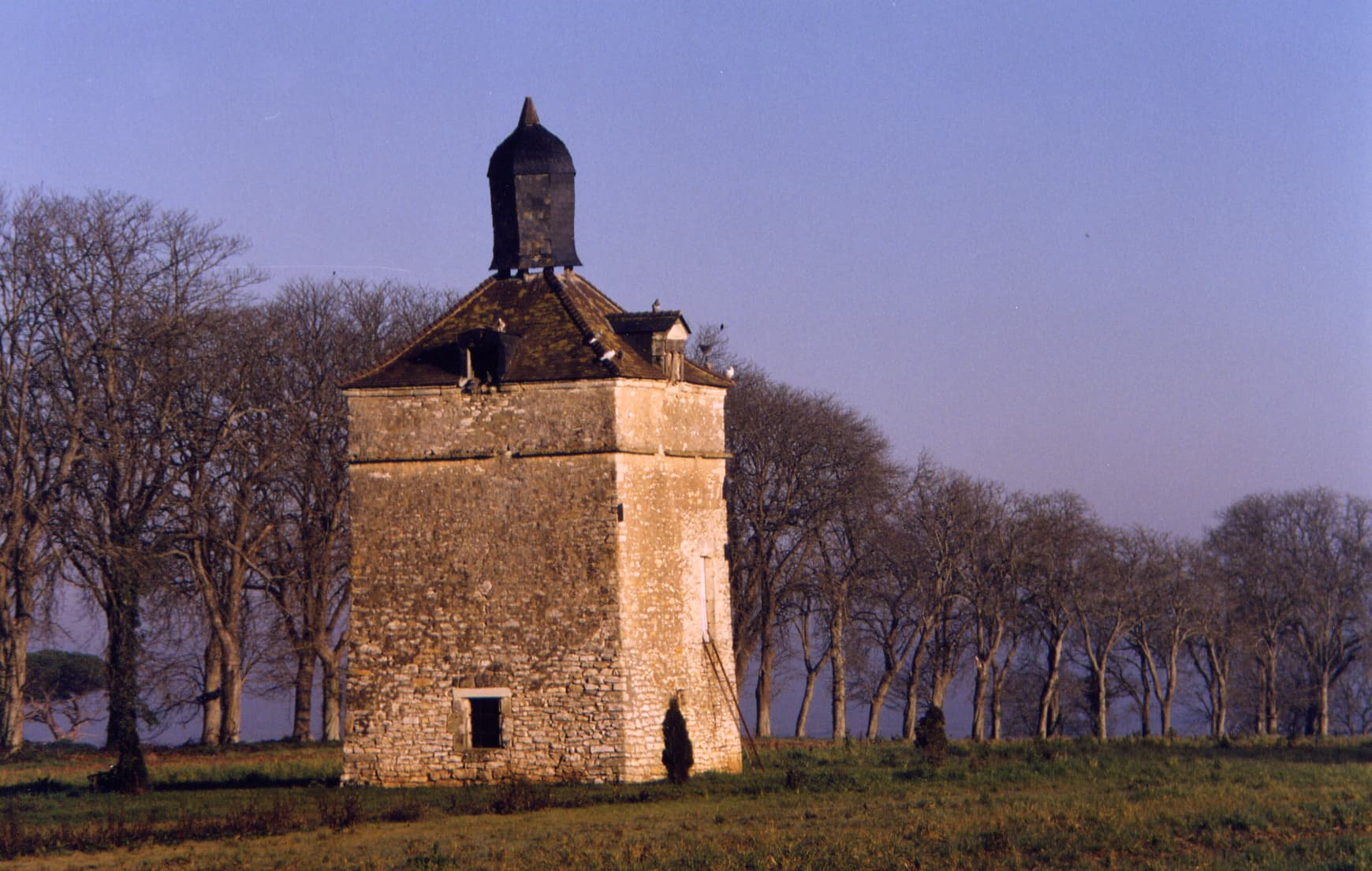 Messais -pigeonnier à lanternon