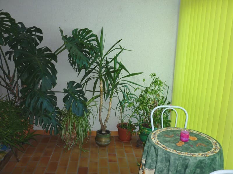 Meublé Yanis - Loggia