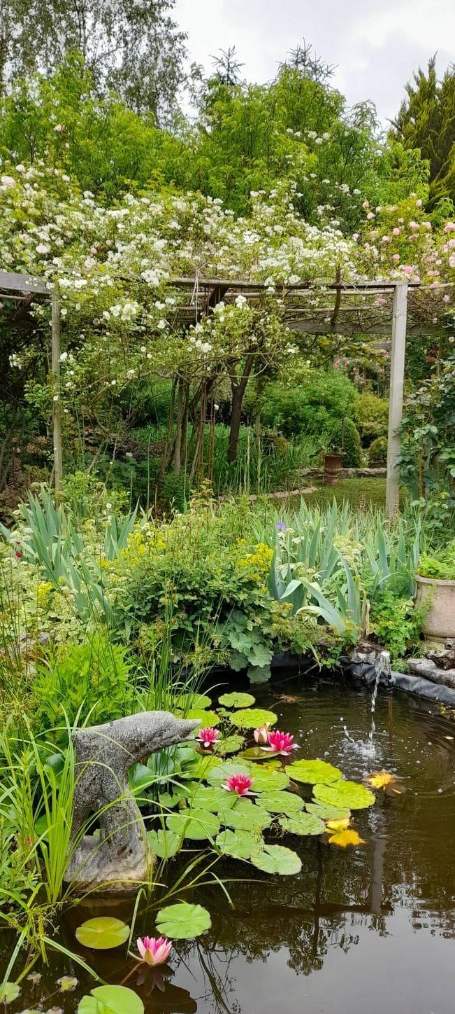 Au Paradis des Fleurs et des Oiseaux - Availles-Limouzine