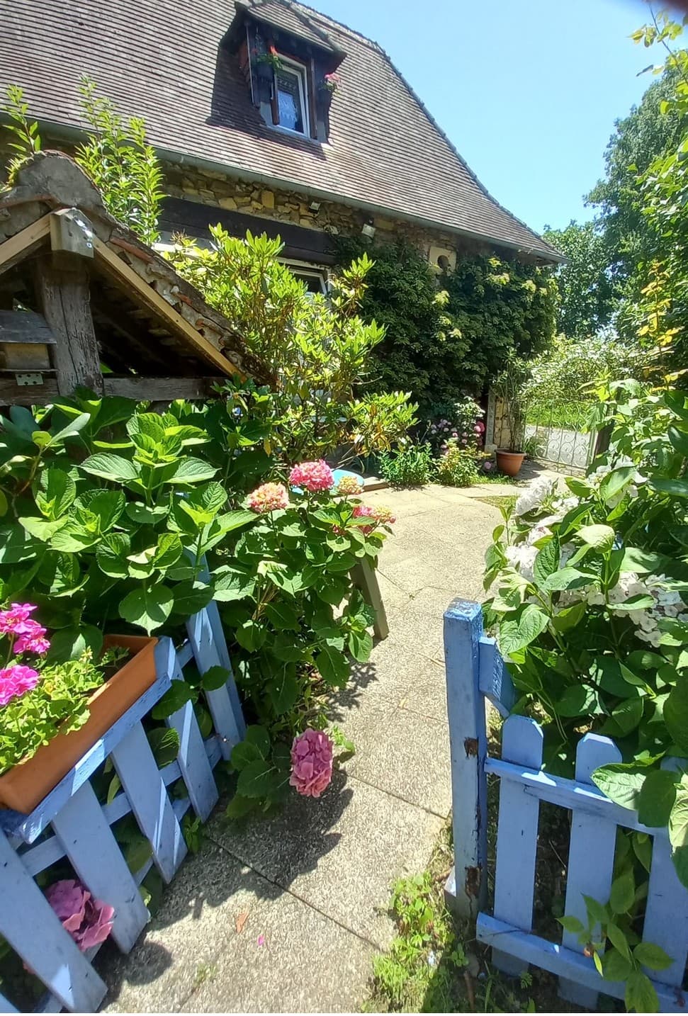 Mignot entrée