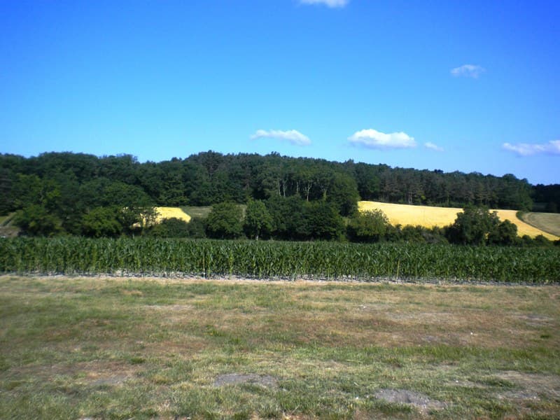 Mme Gauthier vue