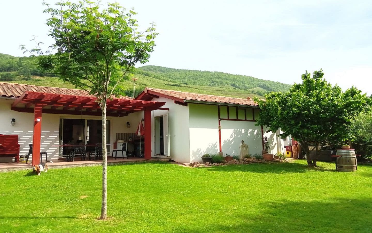 Mongaburu-jardin-Ispoure