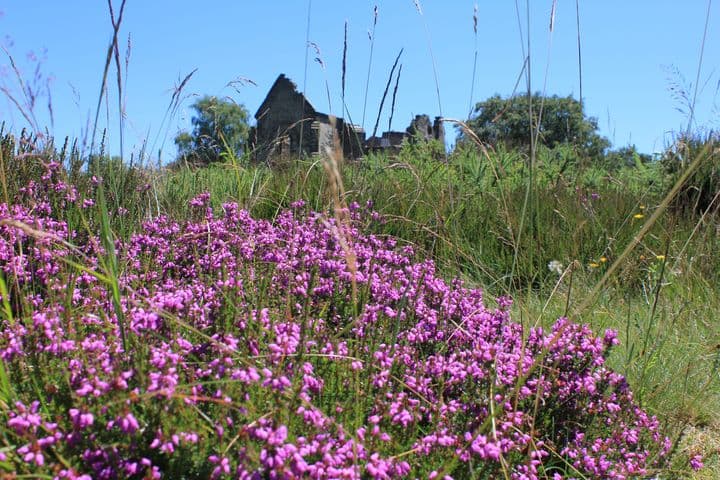 Mont Gargan