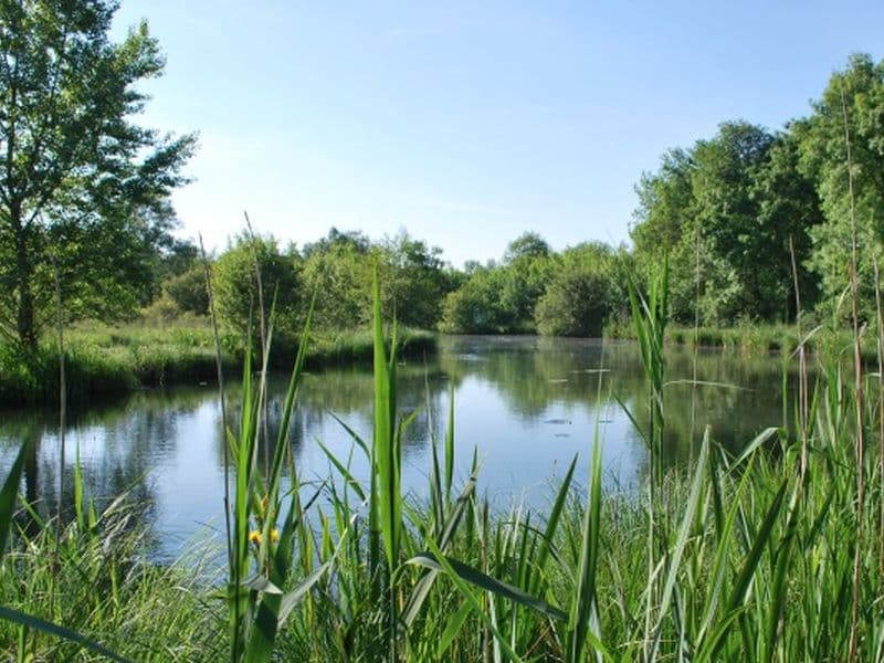 Moron - Lac - Prignac Marcamps (800x600)