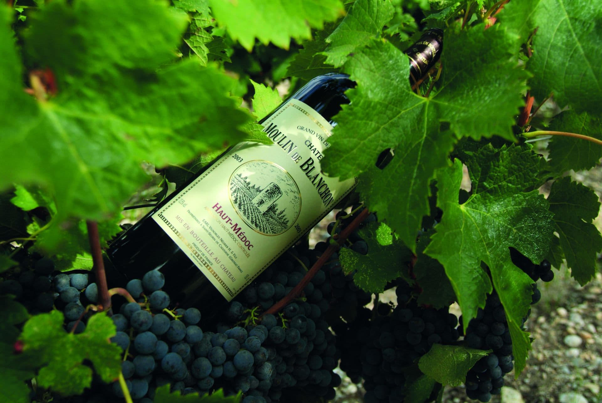 château Moulin de Blanchon 4