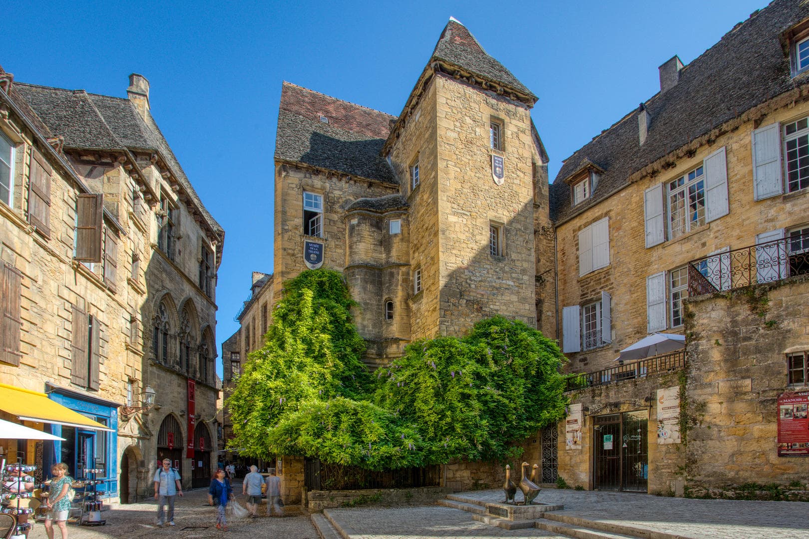 Musee de la Truffe