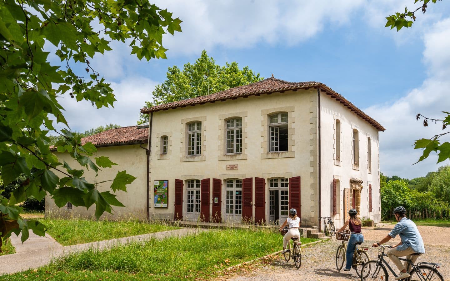 Muséum histoire naturelle 3