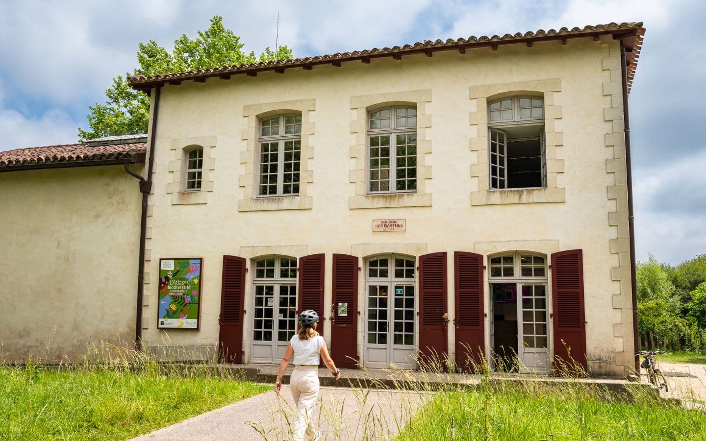 Muséum histoire naturelle 4