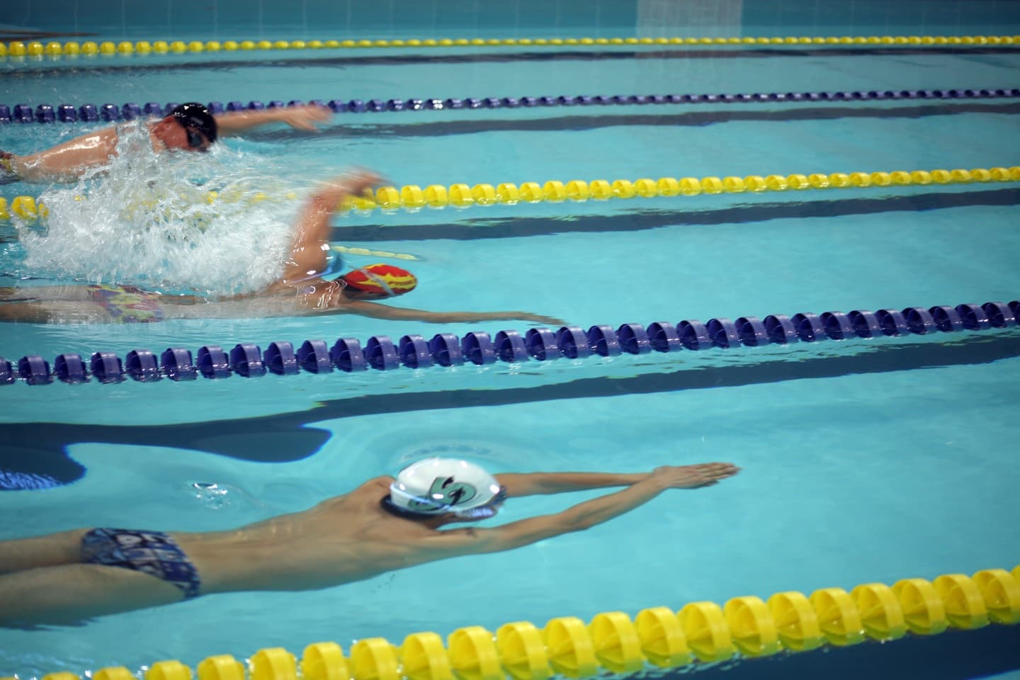 Natation