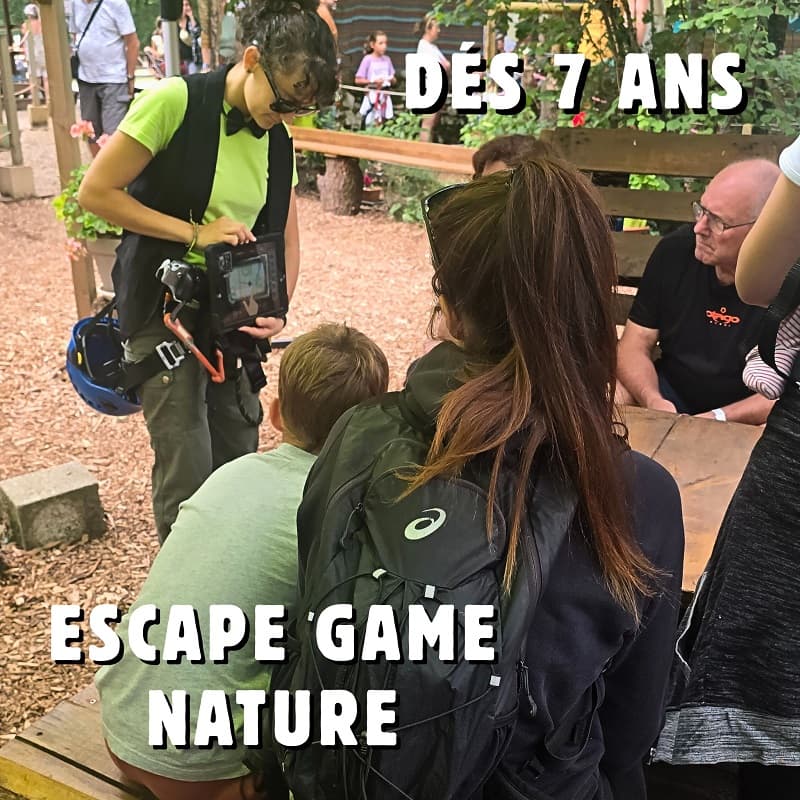 Nature Evasion - 4
