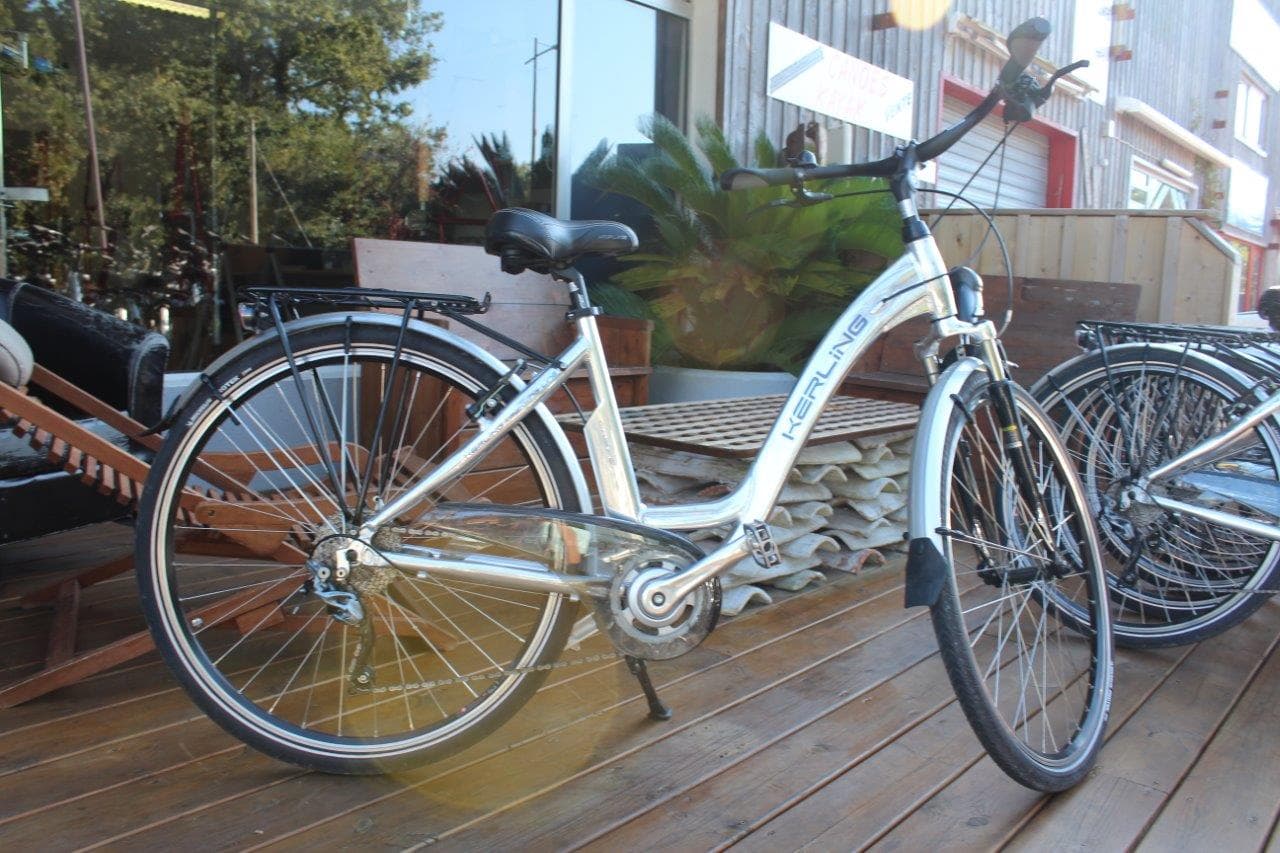 Nice_bike (03)