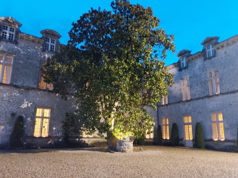 Visite nocturne Château Royal de Cazeneuve