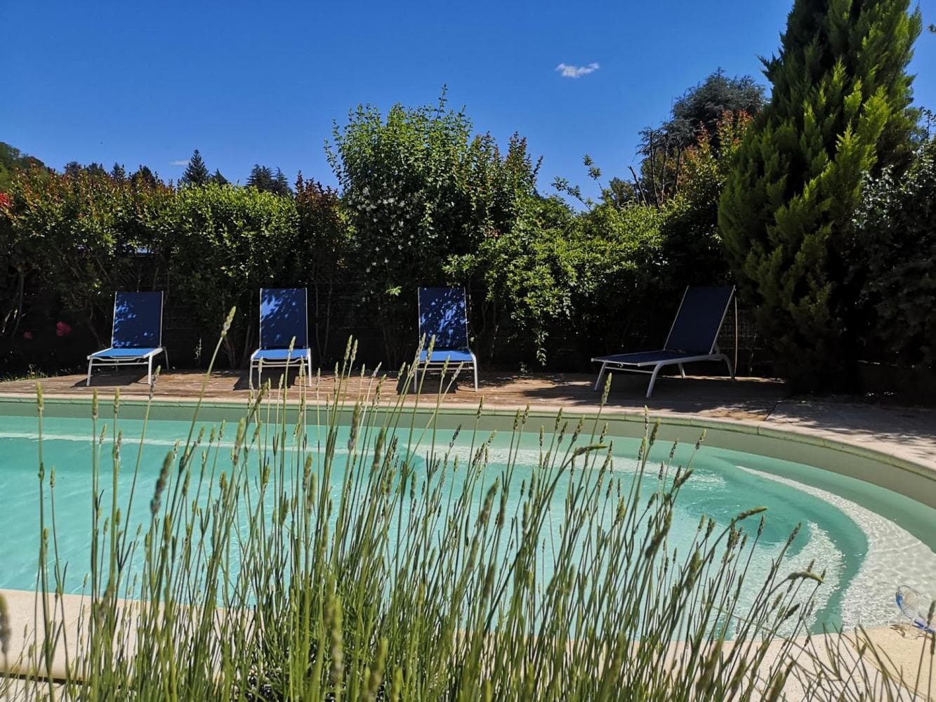O'Myosotis_piscine