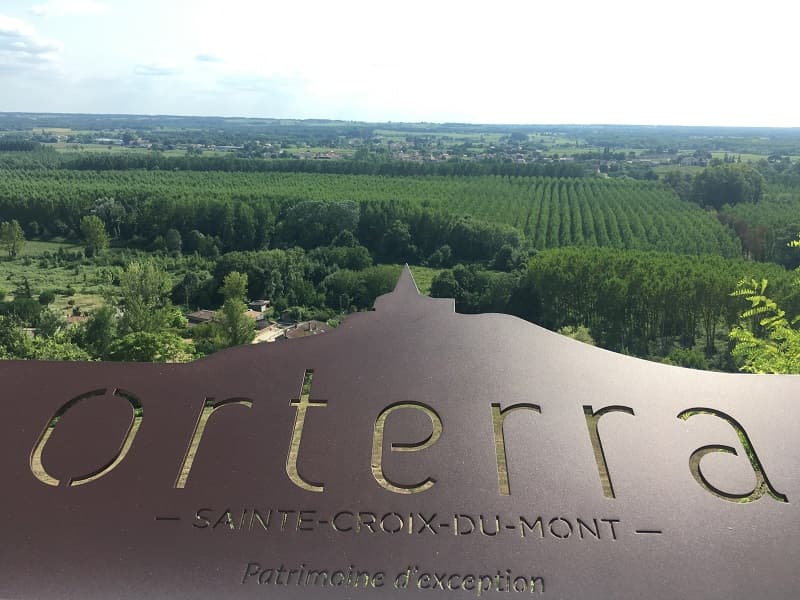 Vue sur le vignoble