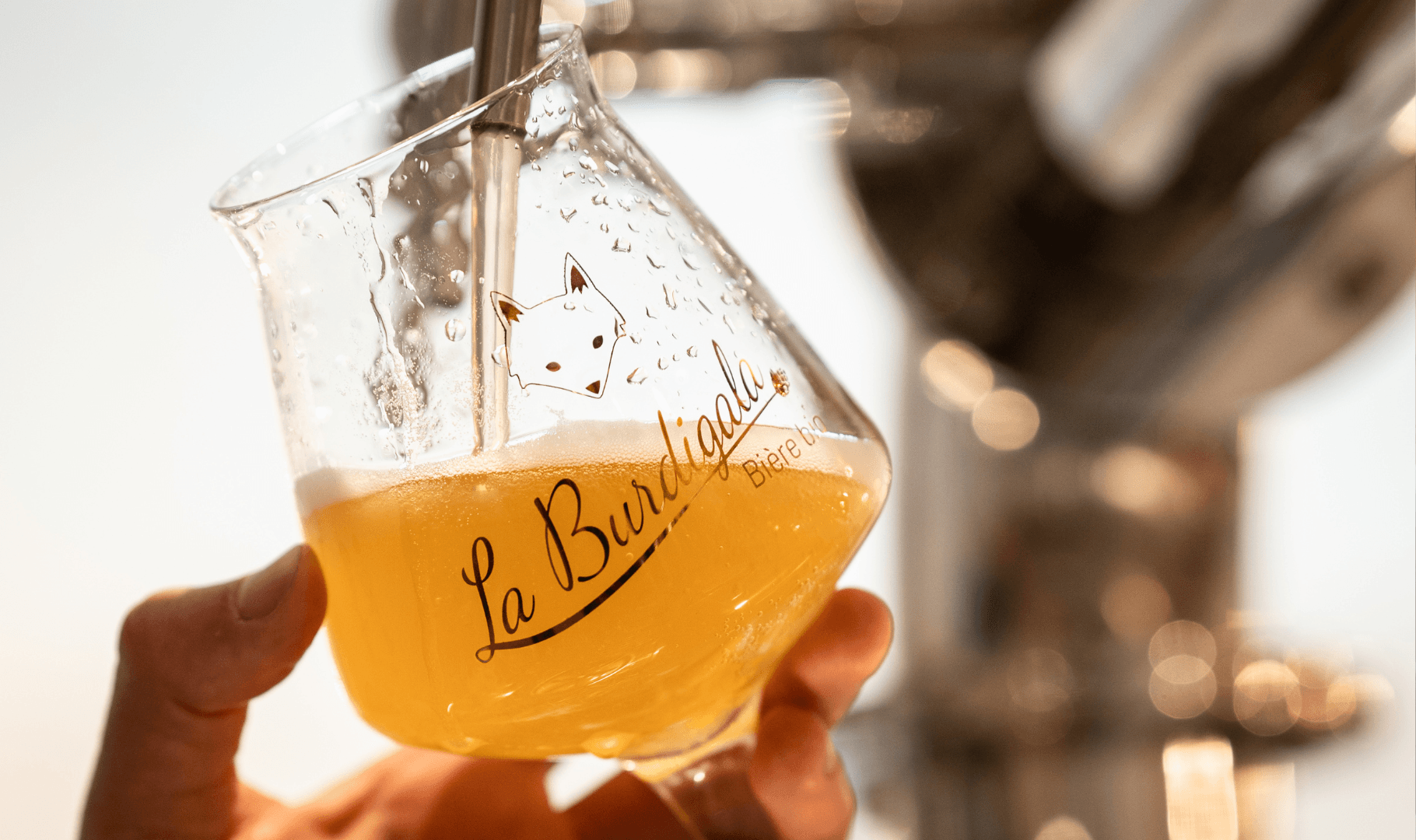 Brasserie Burdigala 2