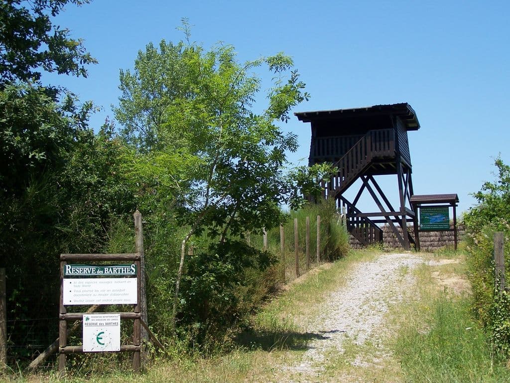 Observatoire