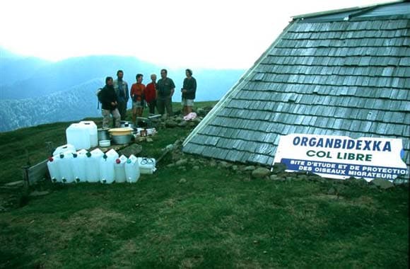 Organbidexka col libre 1
