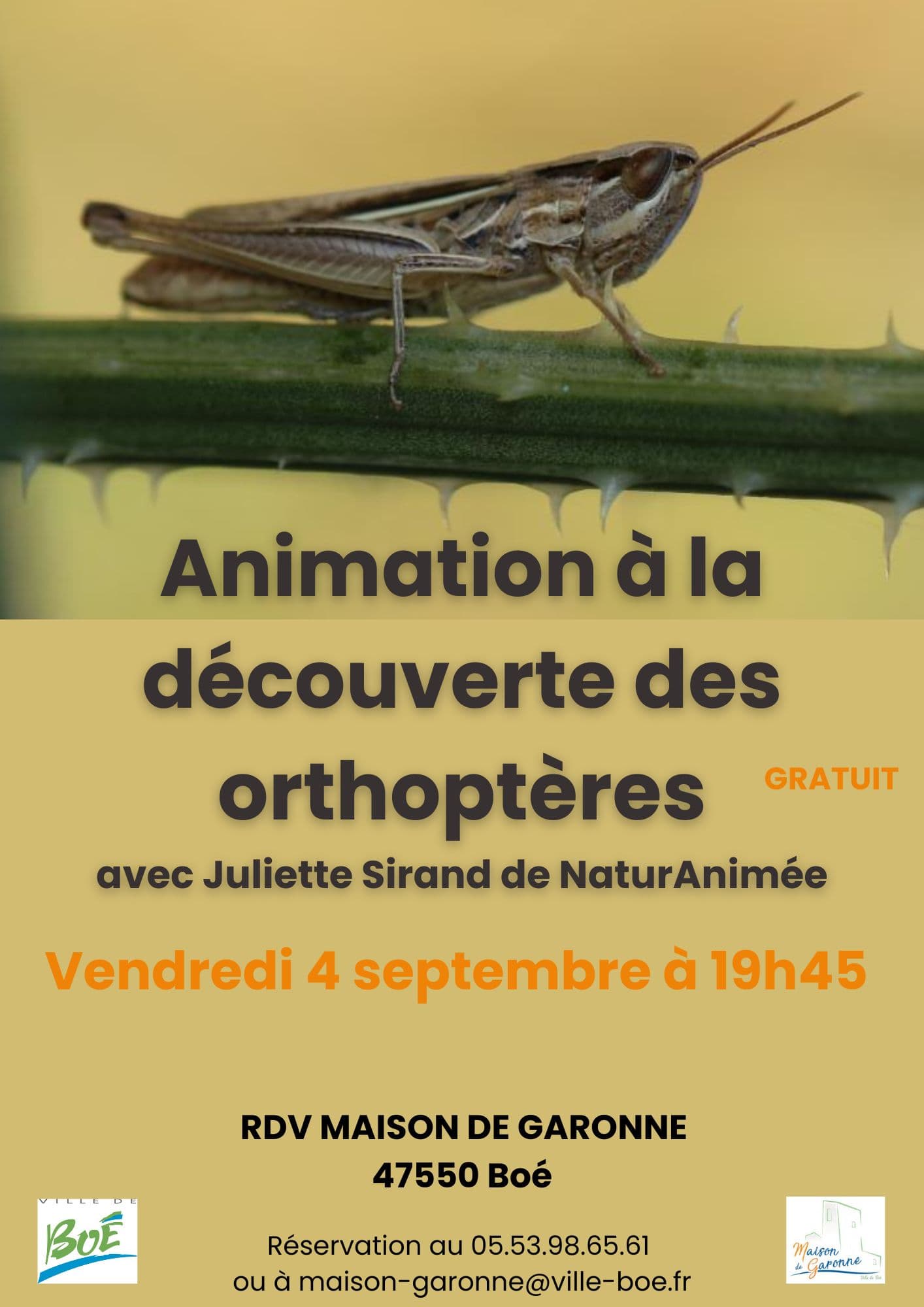 Orthoptères 04.09.26