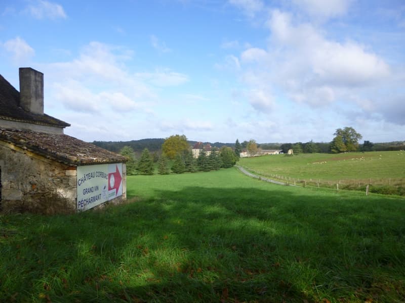 Chateau de Corbiac