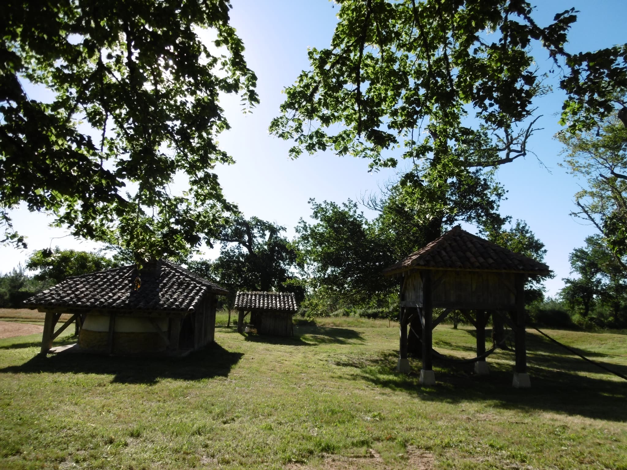 P1000225