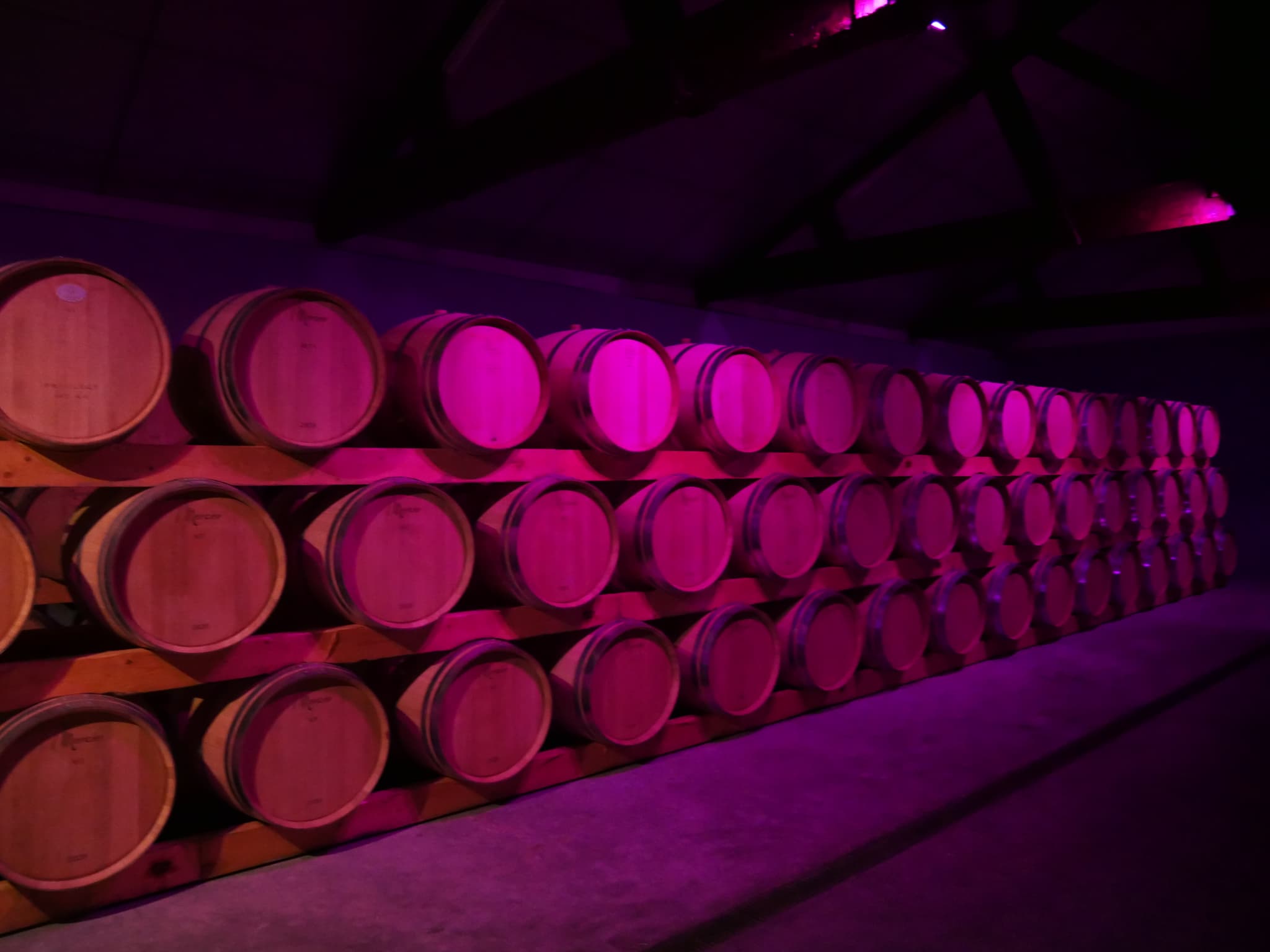 cave la rose pauillac 2