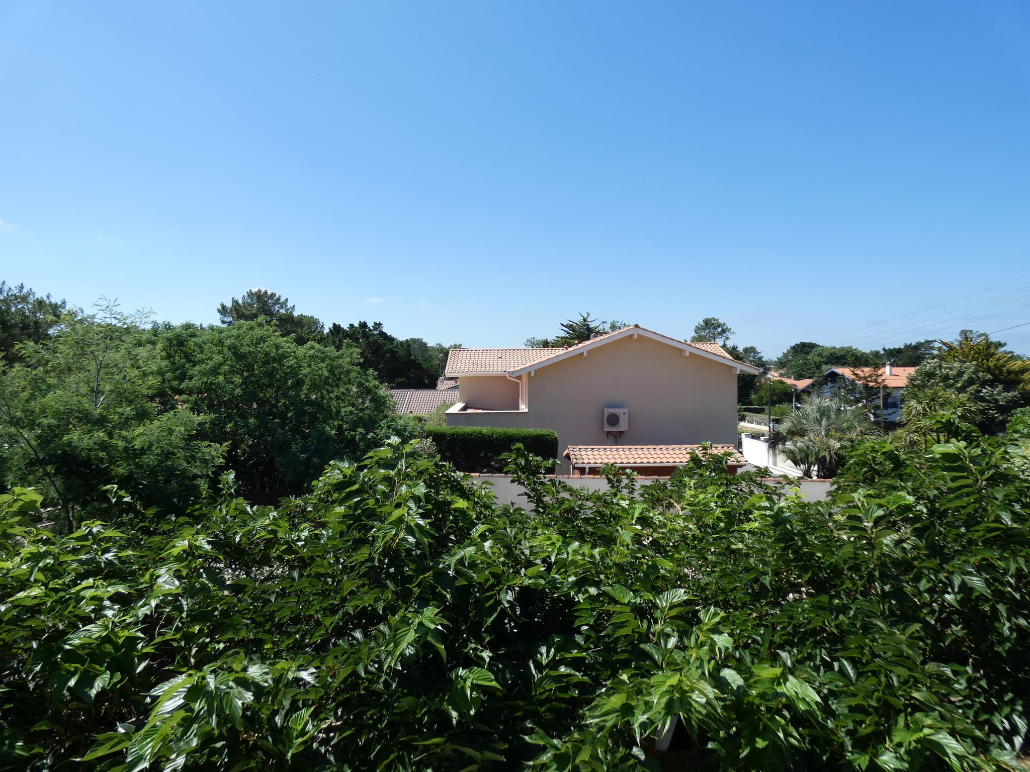 P1040138