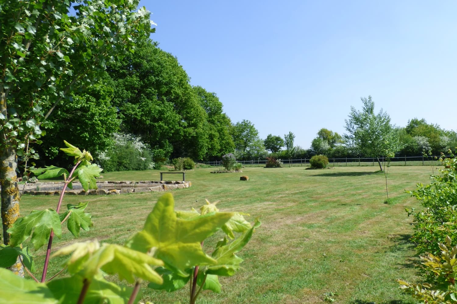 jardin