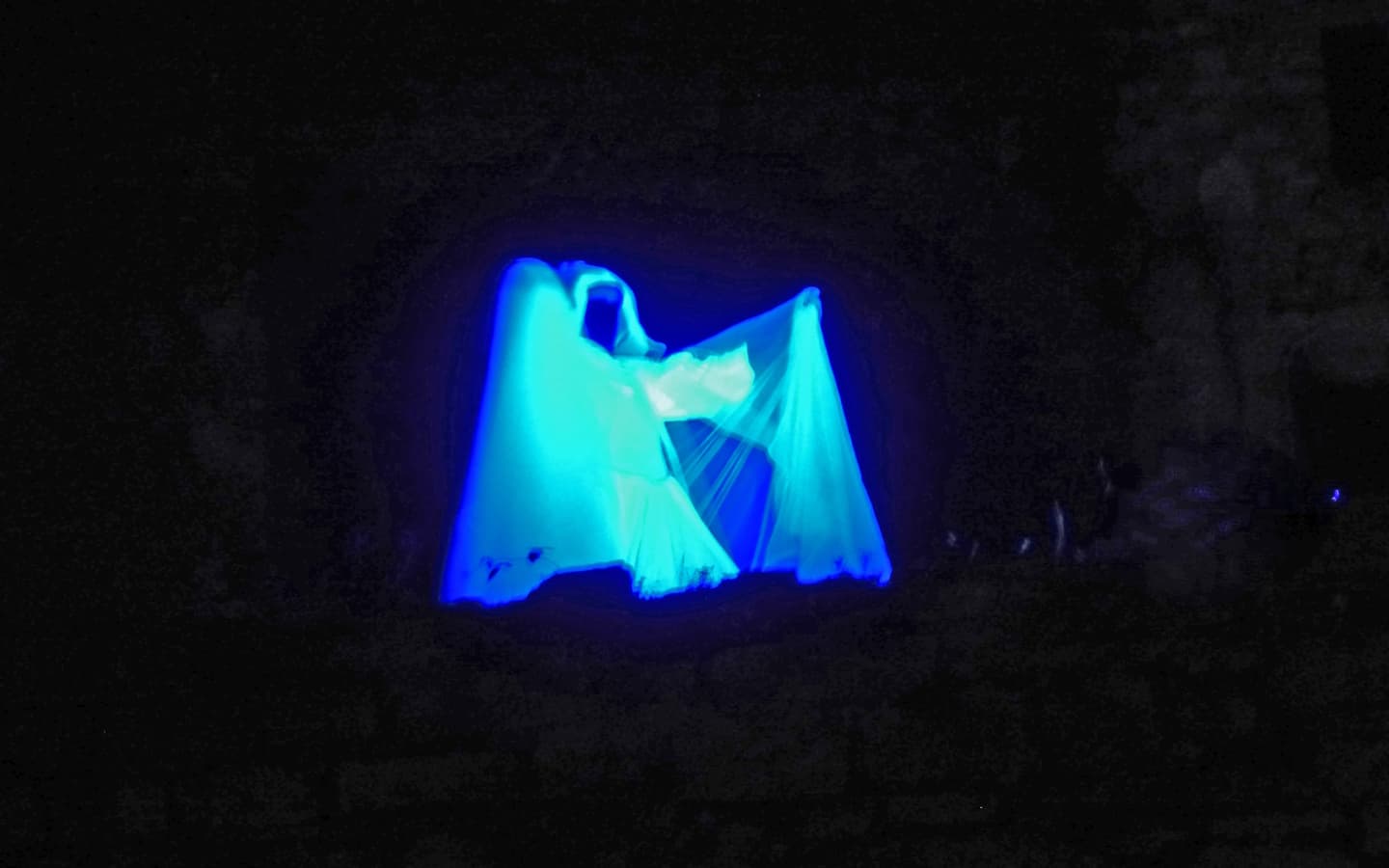 P1160802