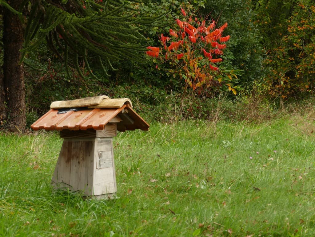 Ruche Refuge