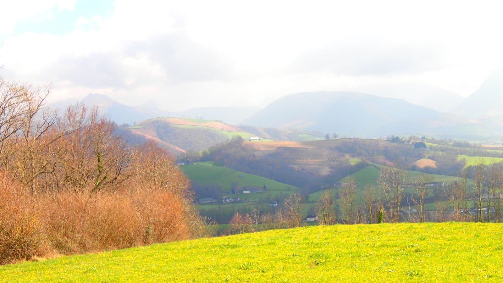 Vue depuis la terrasse
